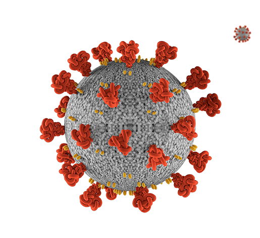 Healthy Being Osteopthy COVID 19 Procedures